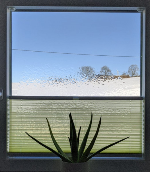 Plissee Miss Madagaskar Green