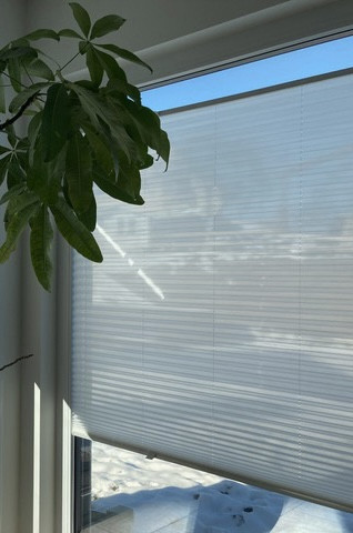 Plissee Miss Madagaskar Weiß