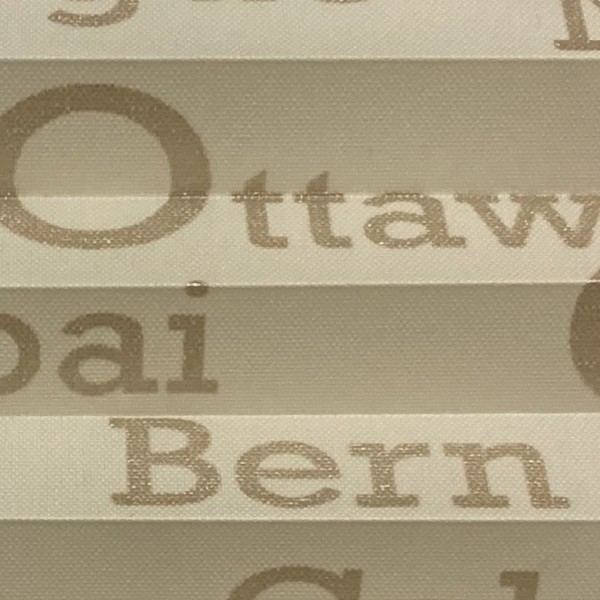 Plissee City's Creme