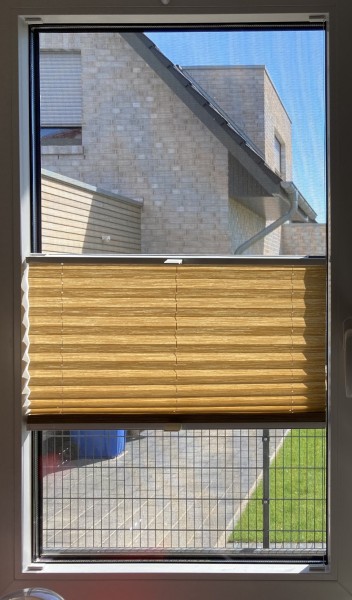 Plissee Madagaskar Perl Toffee