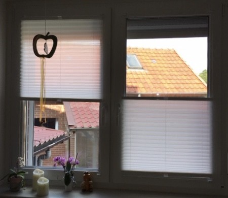 Plissee Miss Madagaskar Weiß