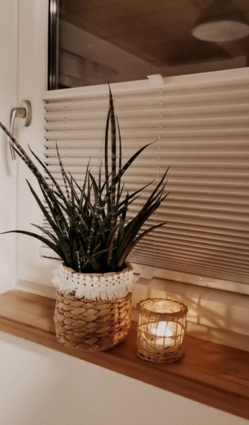 Plissee Marica Creme