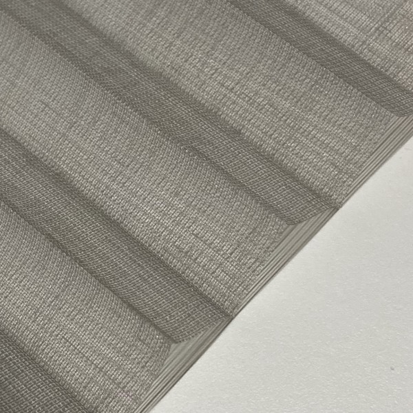 Plissee Jazz Transparent Grau