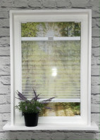 Plissee Transparent Jazz Weiß Plissee Transparent Jazz Weiß