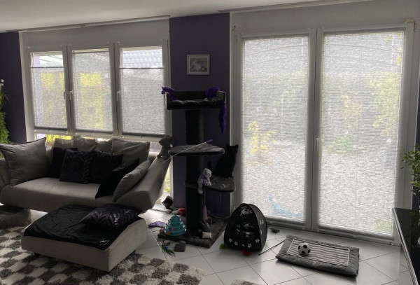 Wabenplissee Rueda Transparent Silber