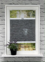 Wabenplissee Rueda Transparent Silber Wabenplissee Rueda Transparent Silber