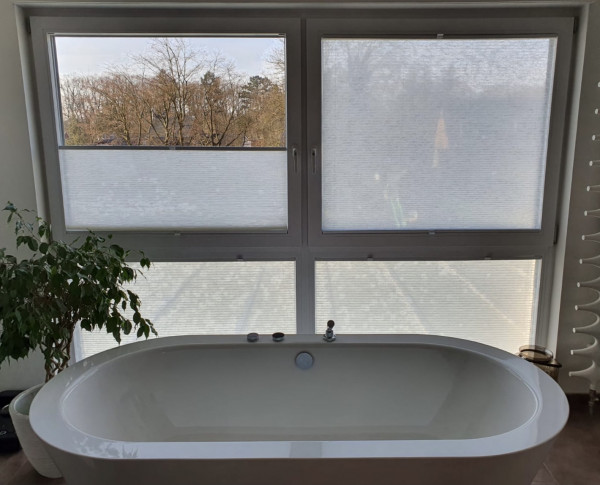 Wabenplissee Rueda Transparent Weiß