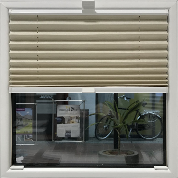 Plissee Madagaskar Perl Dunkel-Beige