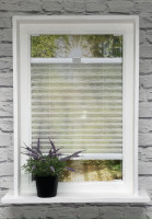 Plissee Ballet Transparent Weiß Plissee Ballet Transparent Weiß