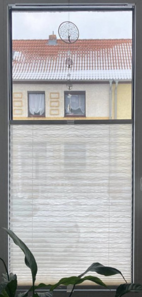 Plissee Ballet Transparent Creme