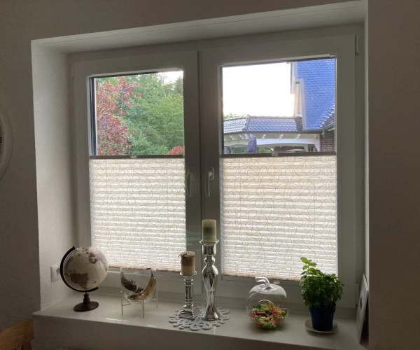 Plissee Clover Weiß-Honig