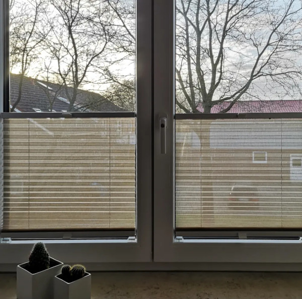 Plissee Jazz Transparent Braun