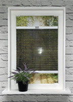 Plissee Boston Transparent Black Plissee Boston Transparent Black