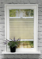 Plissee Miss Madagaskar Lotus Plissee Miss Madagaskar Lotus