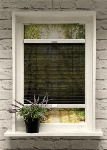 Plissee Transparent Jazz Black