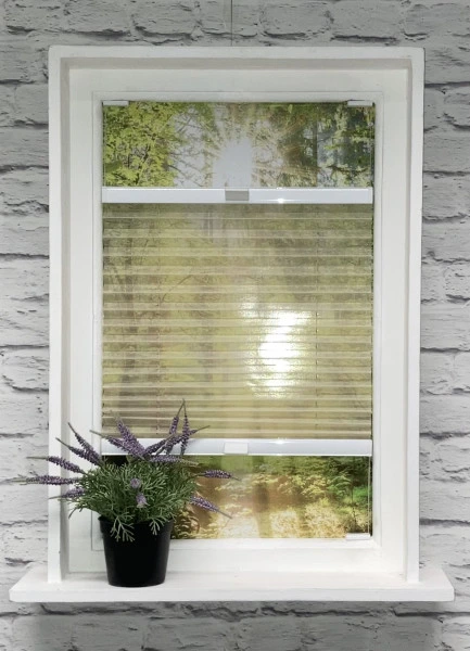 Plissee Jazz Transparent Beige