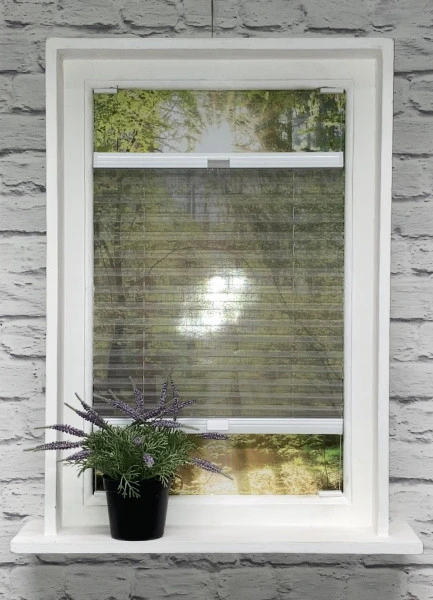 Plissee Jazz Transparent Grau