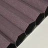 Aubergine